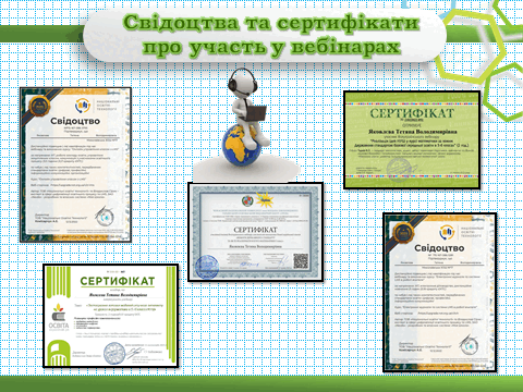 08017vi2-743b-480x360.png