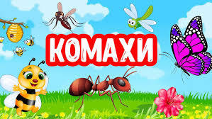 КОМАХИ розвиваюче відео - YouTube