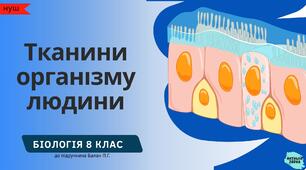Тканини організму людини