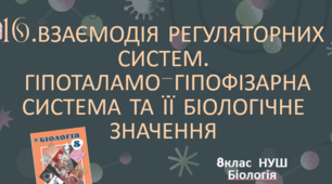 Презентація  до уроку  «§16. Взаємодія регуляторних систем. Гіпоталамно-гіпофізарна система та її біологічне значення»  8клас НУШ
