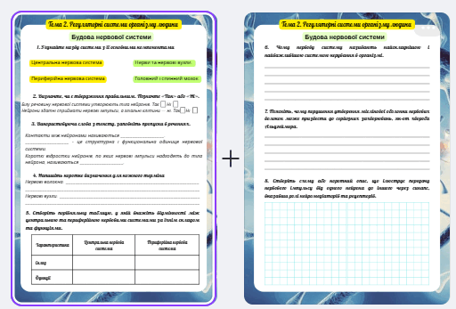 08017ysi-6cb2-512x347.png