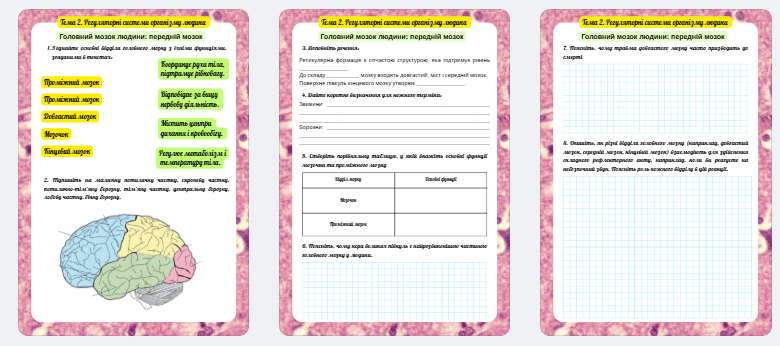 08017zh1-45b0-780x346.png