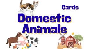 Флешкартки - Domestic Animals