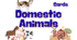 Флешкартки - Domestic Animals