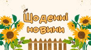 Щоденні новини бджілки