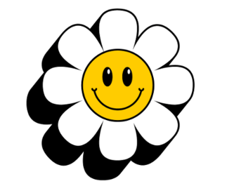 080180co-d17d-333x275.png
