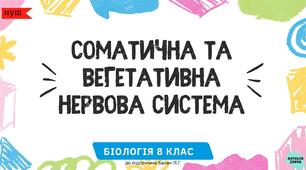 Соматична та вегетативна нервова система