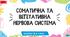 Соматична та вегетативна нервова система