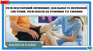 Рефлекторний принцип діяльності нервової системи. Рефлекси безумовні та умовні