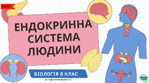 Ендокринна система людини