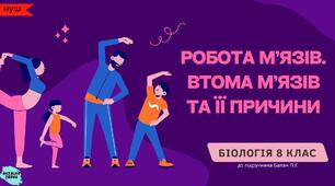 Робота м’язів.  Втома м’язів та її причини