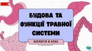Будова та функції травної системи