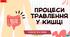 Процеси травлення у кишці