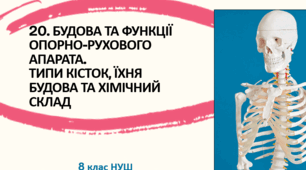 Презентація  до уроку  «§20. Будова та функції опорно-рухового апарата. Типи кісток, їхня будова та хімічний склад» 8клас НУШ