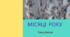 Місяці року
