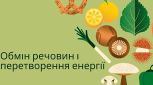 Обмін речовин та перетворення енергії