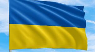 До Дня Державного прапора України