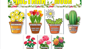 Частини мови (вазони, квіти)