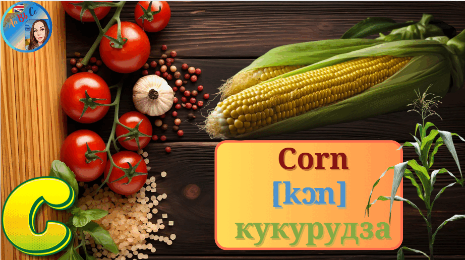 08018aw2-e1ce-922x516.png