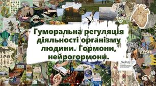 Гуморальна регуляція діяльності організму людини. Гормони, нейрогормони.
