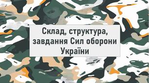 Склад, структура, завдання Сил оборони України