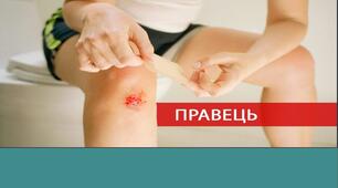 Правець