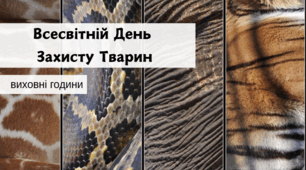До ДНЯ ЗАХИСТУ ТВАРИН виховна година