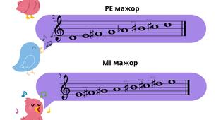 🎼 Обведи зайві знаки в гамі