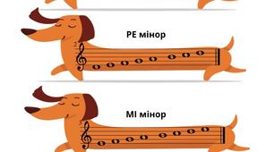 🎼 Гами: допиши знаки альтерації