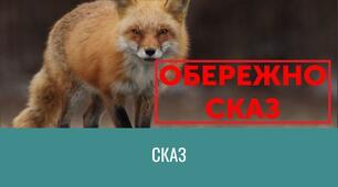 Сказ