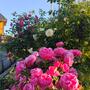 https://fs08.vseosvita.ua/08018gg0-087c-90x90.jpg