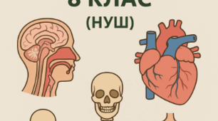 Календарно-тематичне планування уроків біології 8 клас на 2025-2026 н.р. (НУШ)