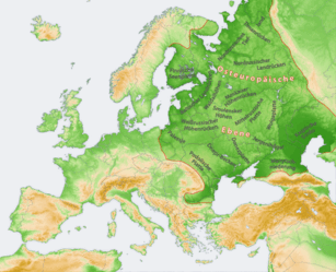 08018iyt-4fa2-307x249.png