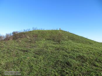 08018iz5-c15c-349x263.jpg
