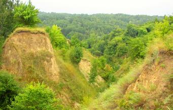 08018j0j-d9be-341x218.jpg