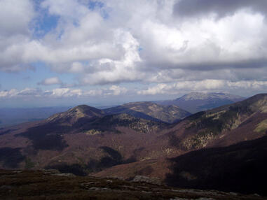 08018jec-18f0-381x286.jpg