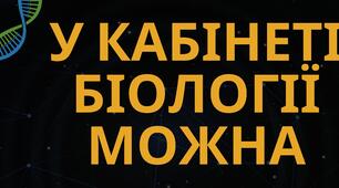 Наліпки на двері