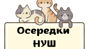 Осередки НУШ з котиками