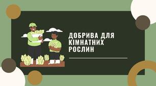 Добрива для кімнатних рослин