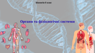 Органи та фізіологічні системи