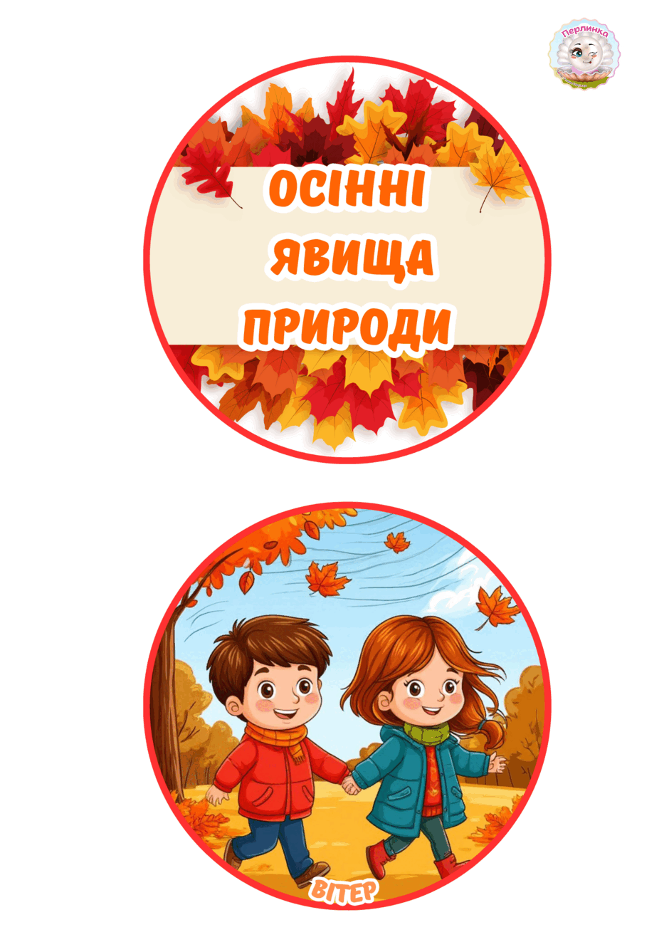 08018n31-66c1-940x1330.png