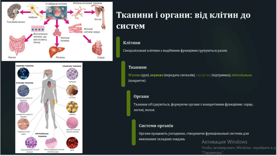08018qhz-d701-940x530.png