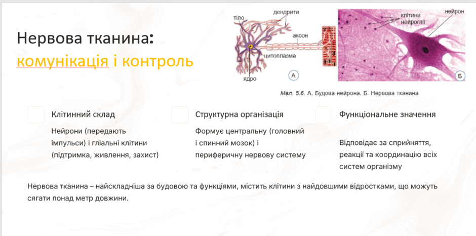 08018qmh-8983-940x466.png