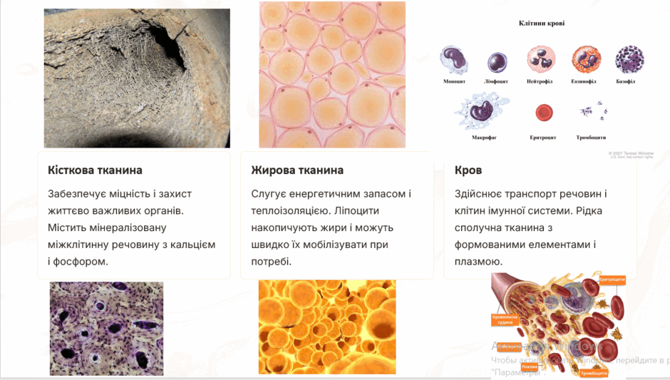 08018qmi-d9cb-940x533.png