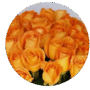 https://fs08.vseosvita.ua/08018r76-64b8-90x90.png