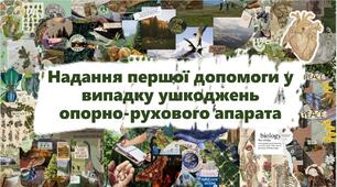 Надання першої допомоги у випадку ушкоджень опорно-рухового апарата
