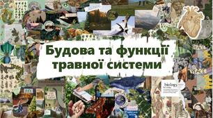 Будова та функції травної системи