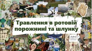 Травлення в ротовій порожнині та шлунку
