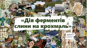 «Дія ферментів слини на крохмаль»
