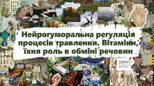 Нейрогуморальна регуляція процесів травлення. Вітаміни, їхня роль в обміні речовин